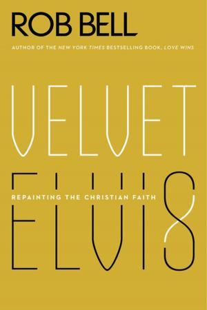 Book cover of Velvet Elvis
