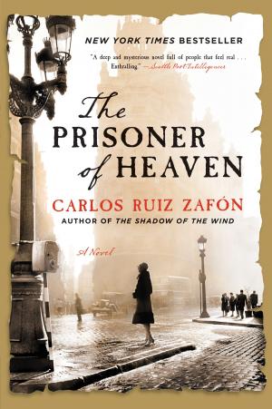 Book cover of The Prisoner of Heaven