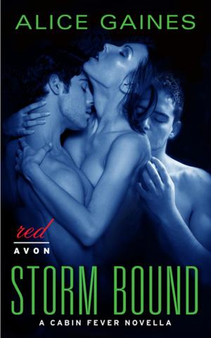 Cover of the book Storm Bound by Stephanie Laurens