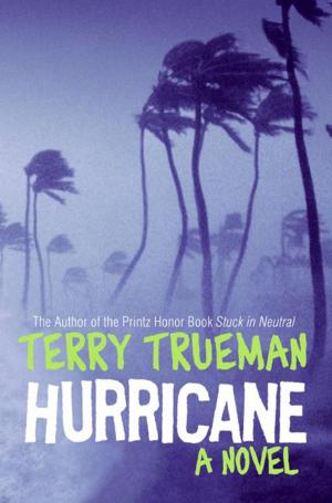 Cover of the book Hurricane by Jimmy Barnes