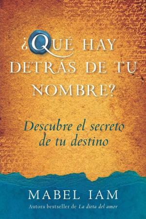 Cover of the book Que hay detras de tu nombre? by Julie Stav