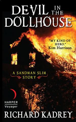 Cover of the book Devil in the Dollhouse by James Smythe