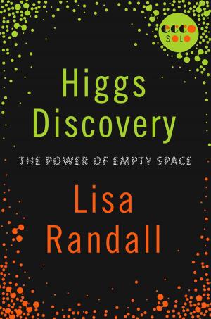 Cover of the book Higgs Discovery: The Power of Empty Space by Melissa Ginsburg