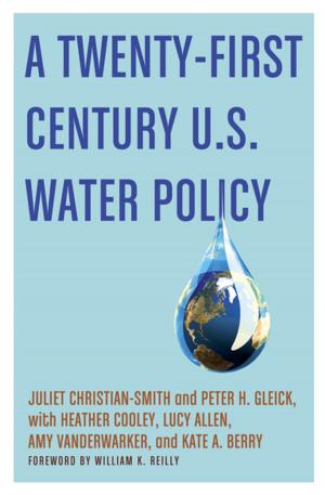 Cover of the book A Twenty-First Century US Water Policy by Margaret C. Jacob