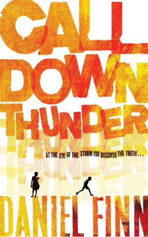 Cover of the book Call Down Thunder by Ruth Hamilton
