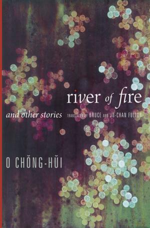 Cover of the book River of Fire and Other Stories by S. Brent Plate