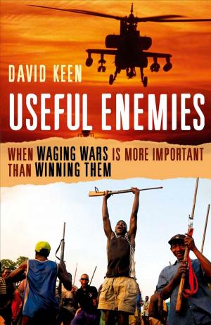 Book cover of Useful Enemies: When Waging Wars Is More Important Than Winning Them