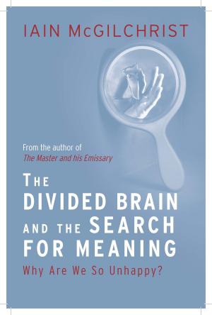 Cover of the book The Divided Brain and the Search for Meaning: Why We Are So Unhappy by John Lukacs