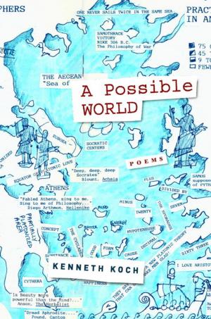 Cover of the book A Possible World by Solomon Volkov