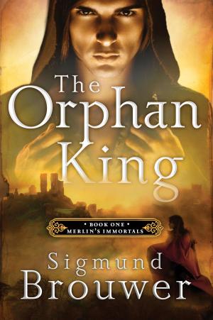 Cover of the book The Orphan King by Jeff Smith