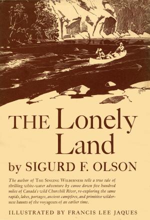 Cover of the book Lonely Land by Megan K. Stack