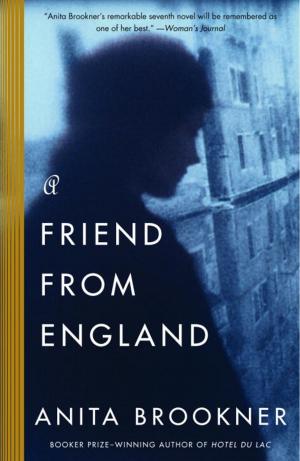 Cover of the book A Friend from England by Meghan Daum