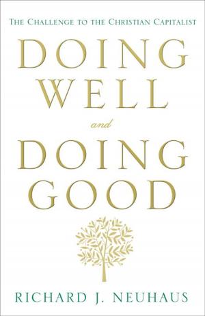 Cover of the book Doing Well and Doing Good by Tim Wesemann