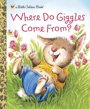 Cover of the book Where Do Giggles Come From? by Jason VanHorn