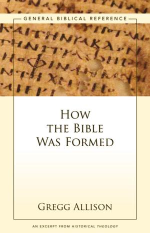 bigCover of the book How the Bible Was Formed by 