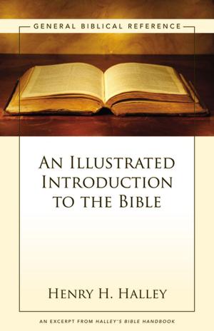 Book cover of An Illustrated Introduction to the Bible
