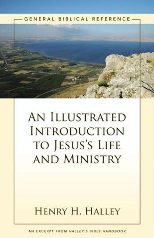Cover of the book An Illustrated Introduction to Jesus's Life and Ministry by Richard McCormack