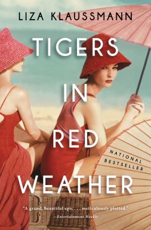 Cover of the book Tigers in Red Weather by Charles G. Irion