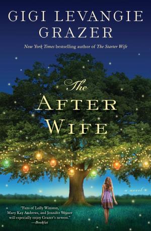 Cover of the book The After Wife by Anna Quindlen