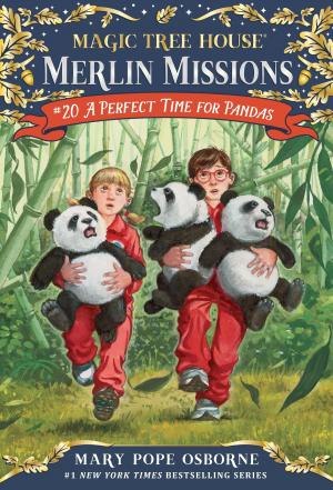 Cover of the book A Perfect Time for Pandas by William Cook