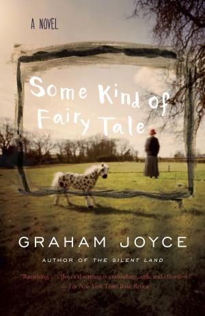 Cover of the book Some Kind of Fairy Tale by Daniel Kehlmann