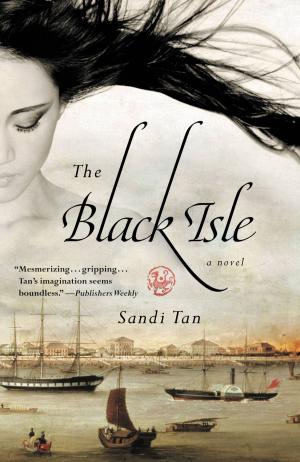 bigCover of the book The Black Isle by 
