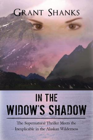 Cover of the book In the Widow's Shadow by Stephany Brandt