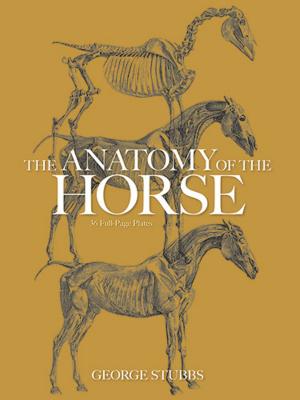 Cover of the book The Anatomy of the Horse by Gen. Armand de Caulaincourt