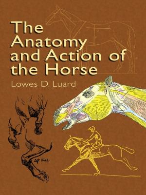 Cover of the book The Anatomy and Action of the Horse by Hans Sagan