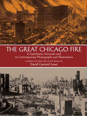 Cover of the book The Great Chicago Fire by Jacob Burckhardt