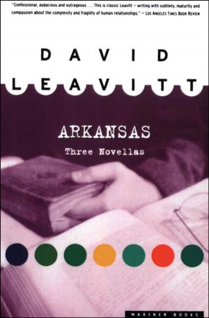 Cover of the book Arkansas by Louis Auchincloss