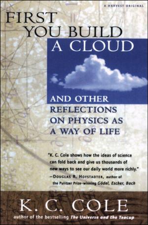 Cover of the book First You Build a Cloud by Dasa Drndic