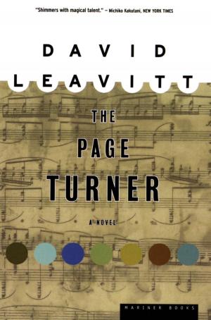 bigCover of the book The Page Turner by 