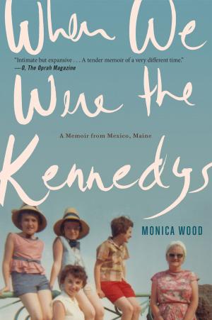 Cover of the book When We Were the Kennedys by Jane Eagland