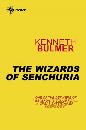 bigCover of the book The Wizards of Senchuria by 