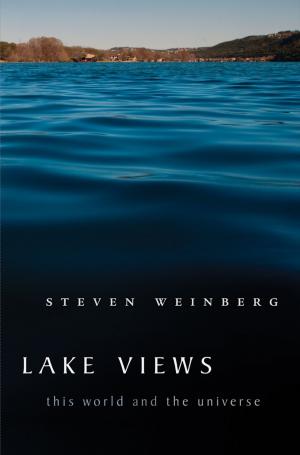 Book cover of Lake Views