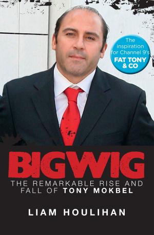 Cover of the book Bigwig by Lizzie Marvelly