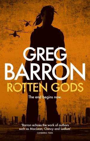 Cover of the book Rotten Gods by Maribeth Baltutat