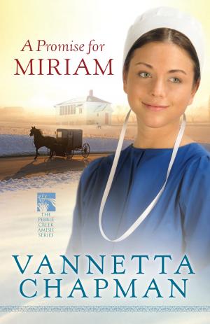 Cover of the book A Promise for Miriam by James Merritt