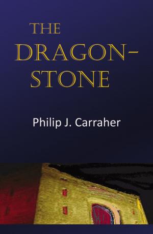 Book cover of The Dragon-Stone