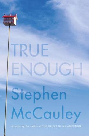 Cover of the book True Enough by Jean Thompson