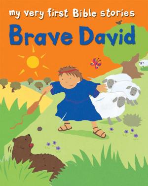 Cover of the book Brave David by Reverend John Butterworth MBE