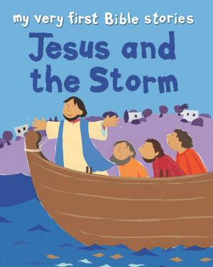 Book cover of Jesus and the Storm