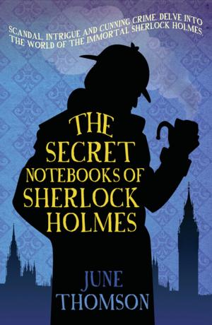 Book cover of The Secret Notebooks of Sherlock Holmes