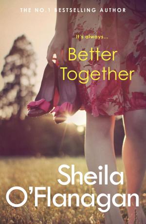 Cover of the book Better Together by Pamela Evans