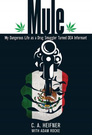Cover of the book Mule by Mark Martin