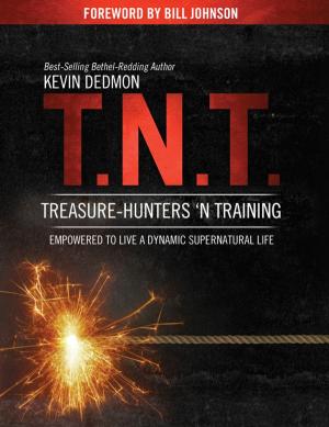 Cover of the book T.N.T.: Treasure-Hunters 'n Training by Michael Phillips