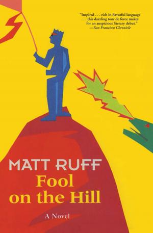 Cover of the book Fool on the Hill by J. S. Scott, Ruth Cardello
