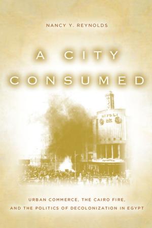Cover of the book A City Consumed by Philip J. Ivanhoe