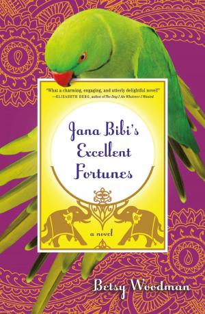 Cover of the book Jana Bibi's Excellent Fortunes by Nell Gavin